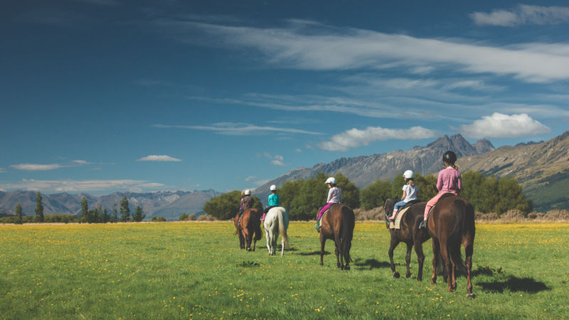 Dart Valley Horse Trek